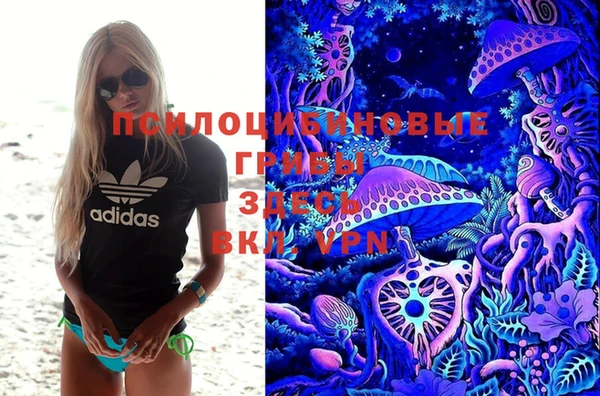 наркотики Белокуриха