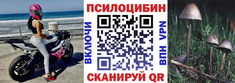 купить   Билибино  Псилоцибиновые грибы GOLDEN TEACHER 